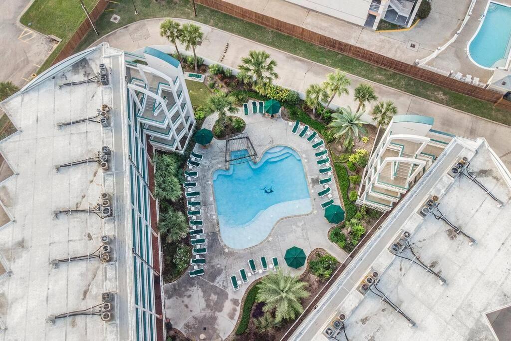 The Happy Seahorse Apartment Galveston Bagian luar foto